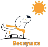 ������ ���� �����